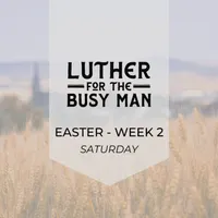 Luther for the Busy Man artwork