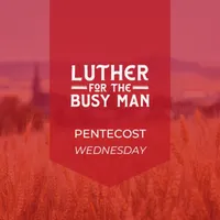 Luther for the Busy Man artwork