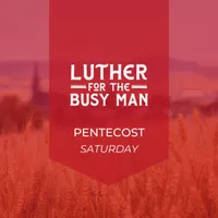 Luther for the Busy Man artwork