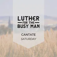 Luther for the Busy Man artwork