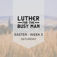 Luther for the Busy Man artwork