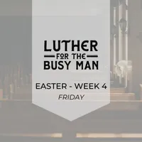 Luther for the Busy Man artwork