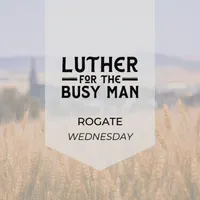 Luther for the Busy Man artwork
