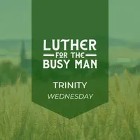 Luther for the Busy Man artwork