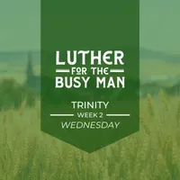 Luther for the Busy Man artwork