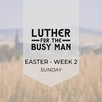 Luther for the Busy Man artwork