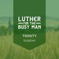 Luther for the Busy Man artwork