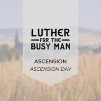 Luther for the Busy Man artwork