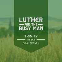 Luther for the Busy Man artwork