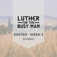 Luther for the Busy Man artwork