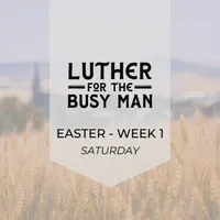 Luther for the Busy Man artwork