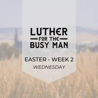 Luther for the Busy Man artwork