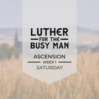 Luther for the Busy Man artwork