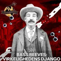 Vanvittig Verdenshistorie artwork