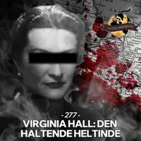 Vanvittig Verdenshistorie artwork