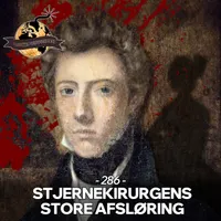 Vanvittig Verdenshistorie artwork