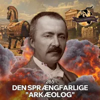Vanvittig Verdenshistorie artwork