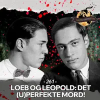Vanvittig Verdenshistorie artwork