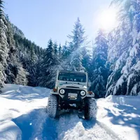 Classic Land Cruisers artwork