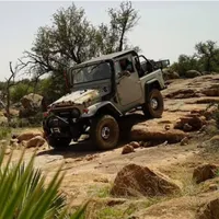 Classic Land Cruisers artwork