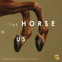 Freakonomics Radio artwork