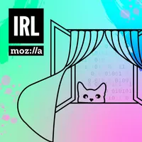 IRL: Online Life is Real Life artwork