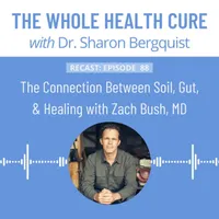 The Whole Health Cure artwork