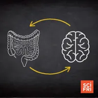 Science Friday artwork