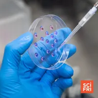 Science Friday artwork
