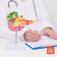 Science Friday artwork