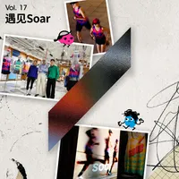 长话长说For the Long Run artwork