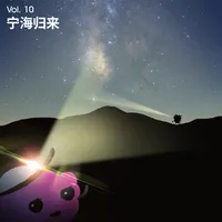 长话长说For the Long Run artwork