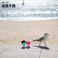 长话长说For the Long Run artwork