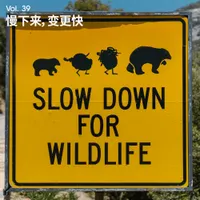 长话长说For the Long Run artwork
