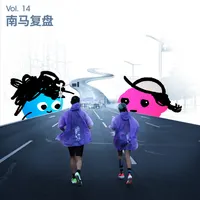 长话长说For the Long Run artwork