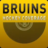 Boston Bruins Hockey artwork
