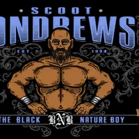 Two Man Power Trip of Wrestling Podcast artwork