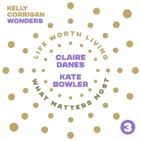 Kelly Corrigan Wonders artwork