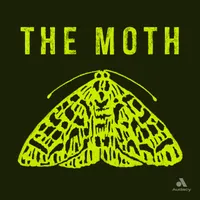 The Moth artwork