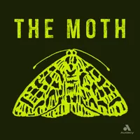 The Moth artwork