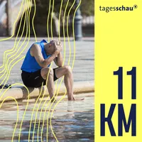 11KM: der tagesschau-Podcast artwork