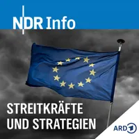 Streitkräfte und Strategien artwork