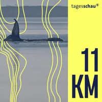 11KM: der tagesschau-Podcast artwork