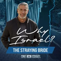 Pod for Israel - Biblical insights from Israel artwork