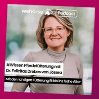 wehorse Podcast artwork
