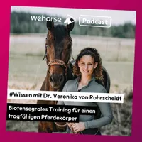 wehorse Podcast artwork