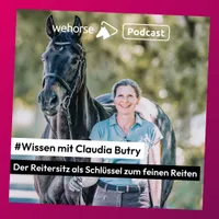 wehorse Podcast artwork