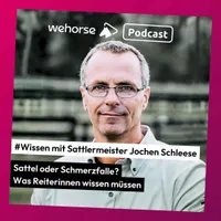 wehorse Podcast artwork