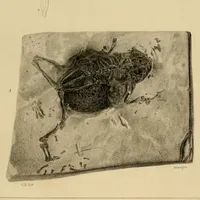 Geschichte Europas artwork