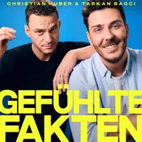 Gefühlte Fakten artwork